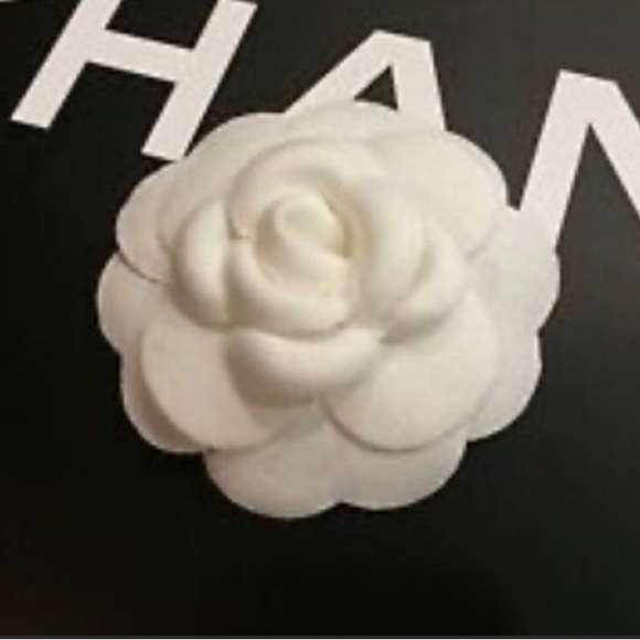 White Camellia - Medium Size - Picture 5 of 6